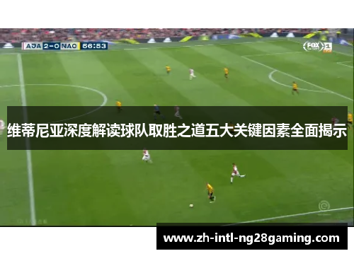 维蒂尼亚深度解读球队取胜之道五大关键因素全面揭示