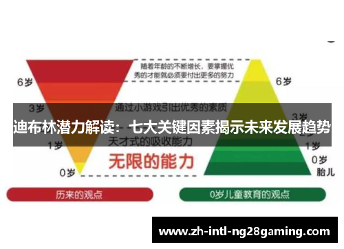 迪布林潜力解读：七大关键因素揭示未来发展趋势