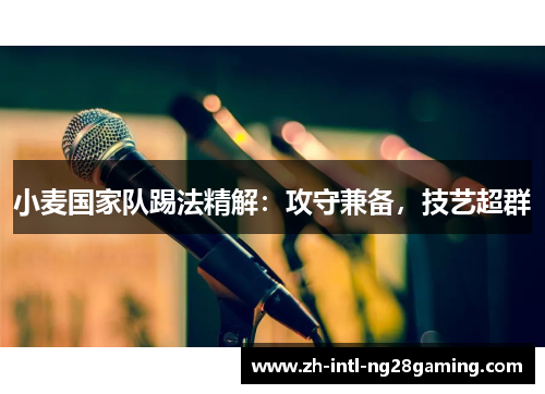 小麦国家队踢法精解：攻守兼备，技艺超群