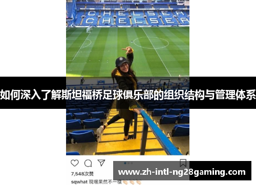 如何深入了解斯坦福桥足球俱乐部的组织结构与管理体系