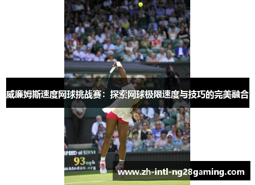 威廉姆斯速度网球挑战赛：探索网球极限速度与技巧的完美融合