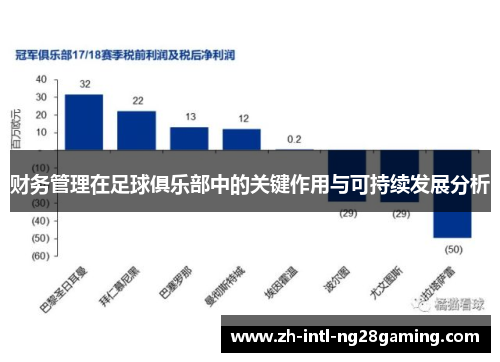 财务管理在足球俱乐部中的关键作用与可持续发展分析 财务管理在足球俱乐部中的关键作用与可持续发展分析