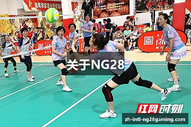 关于NG28